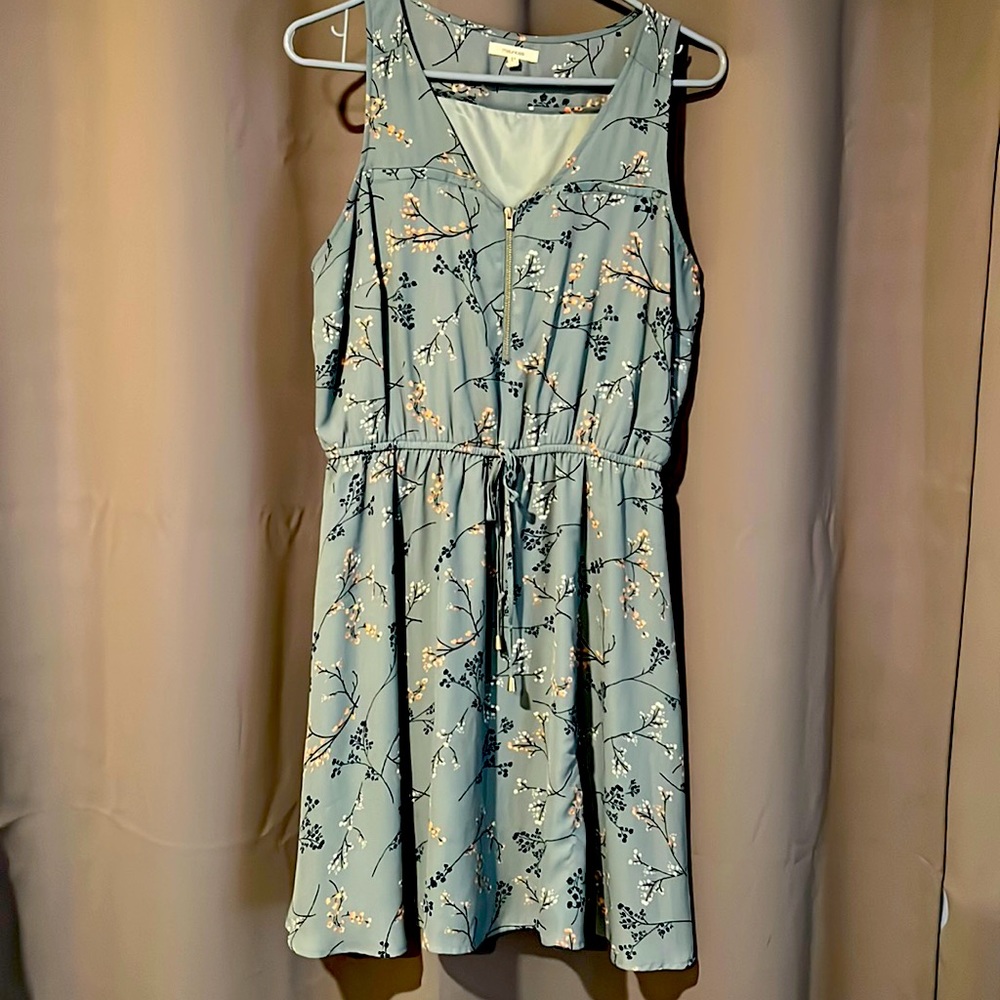 Blue with flowers. Synched waist, slip underneath and zipper in front